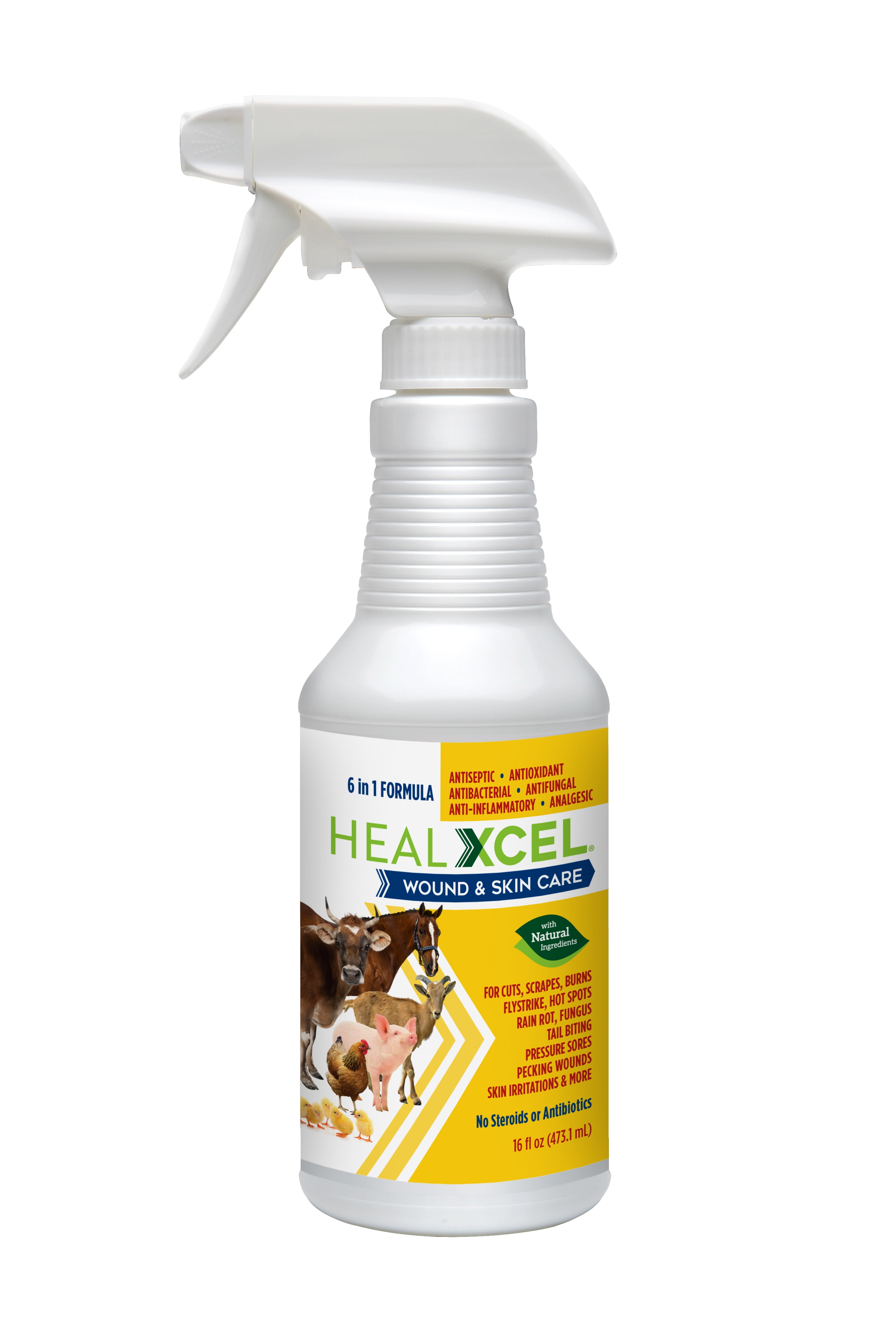 HealXcel Wound & Skin Care Spray 16oz