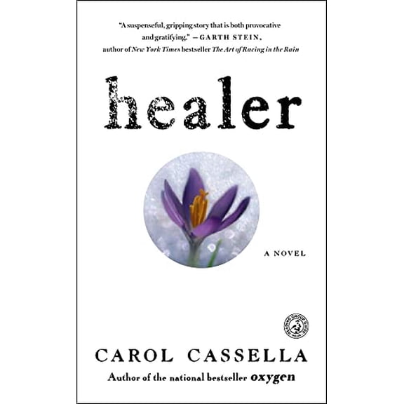 Pre-Owned Healer: A Novel, 9781416556145, 1416556141, Paperback,