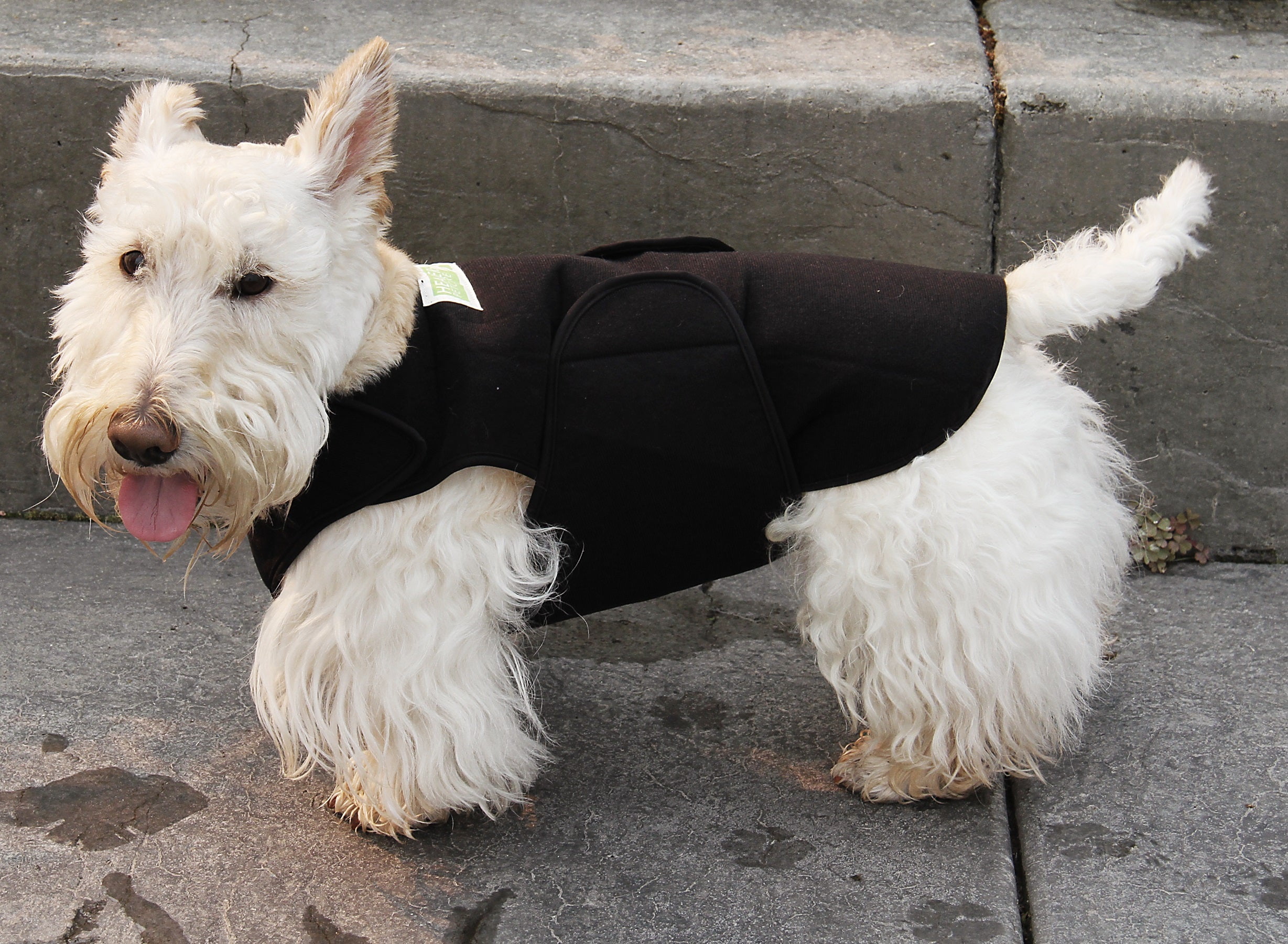 Anxiety vest top for small dogs