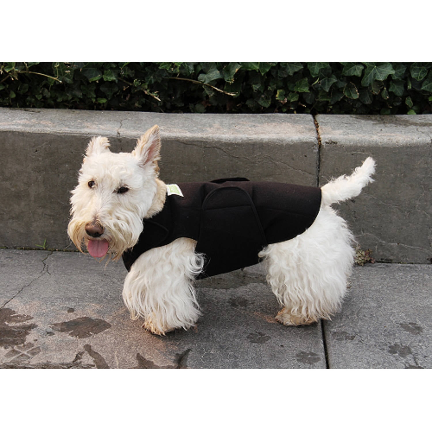 Healers Therapeutic/Anxiety Body Wrap for Dogs Front Module, Small