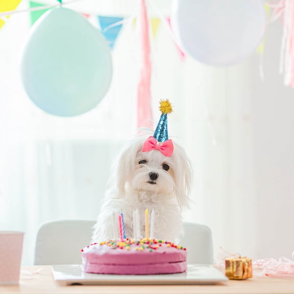 Healifty 10Pcs Pet Birthday Hat for Small Dogs and Cats Lightweight Adjustable Strap hat