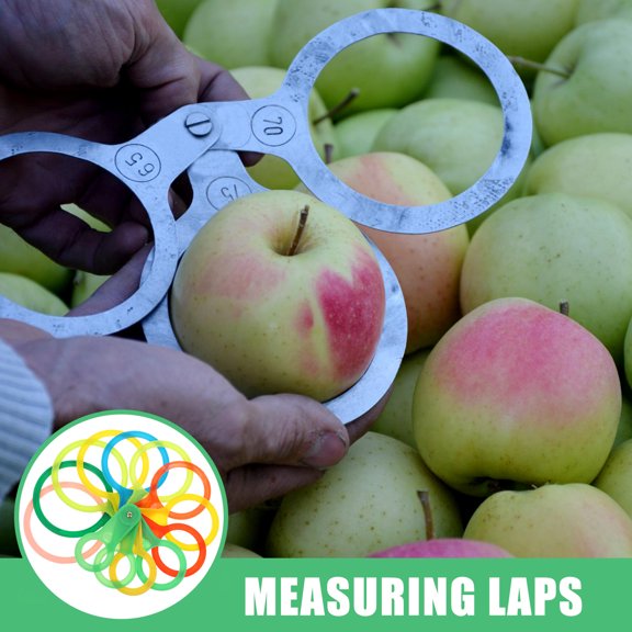 Healifty 1Set Plastic Fruit Diameter Measuring Ring Tool for Farm and Market Use with Durable Design