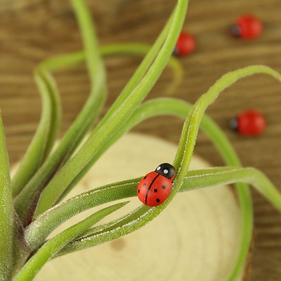 Healifty 300 Pieces Red Ladybug Figurines for Home, Office, Car, and Plant Decoration Accessories