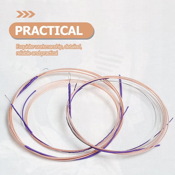Healifty 4Pcs Elegant Tone Chinese Lute Strings Multi Color Stable Vibration Pipa Strings