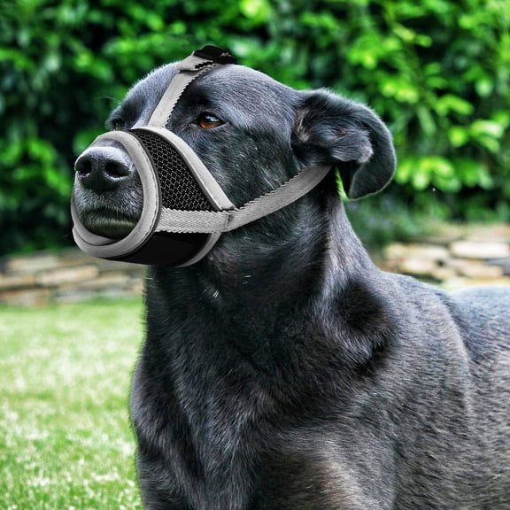 Healifty Adjustable Plated Silver Dog Muzzles with Breathable Fabric for Barking and Biting Control