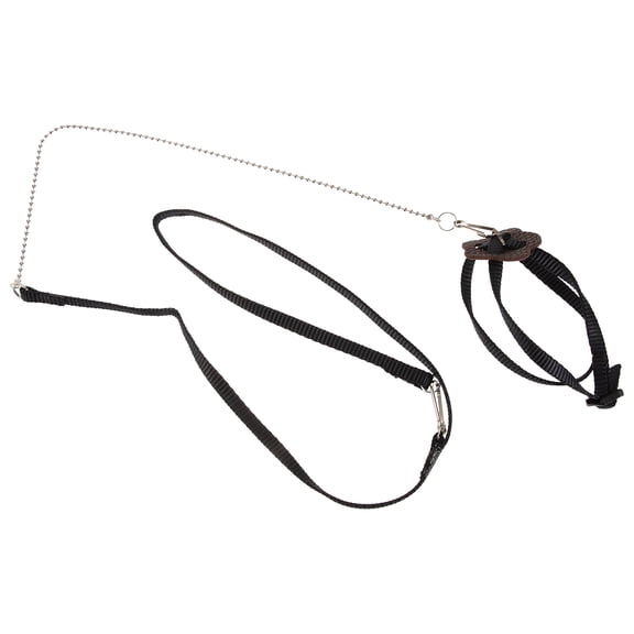 Healifty Black Adjustable Reptile Leash for Turtle Training with Finger and for Secure Pet Control