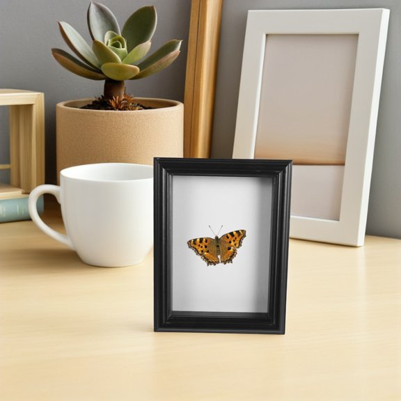Healifty Sleek Black Wood Insect Display Case with Hollow Shadow Box Design for Preservation