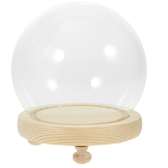 Healifty Small Glass Dome Display Case for Micro Landscape and Silk Flower Decoration