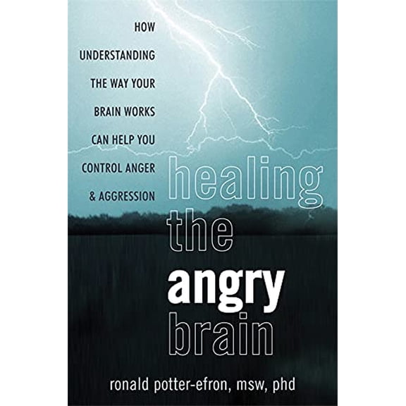Pre-Owned Healing the Angry Brain by Ronald Potter-Efron MSW PhD (Paperback)