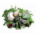 thumbnail image 1 of Healing Crystal Collection - 12 Genuine Minerals - Gift Packaged, 1 of 2