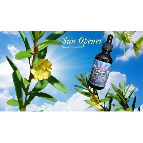 Healing Herbals Sunopener Tincture