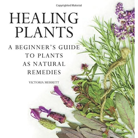 Pre-Owned Healing Plants: A Beginner's Guide to Using Plants for Natural Remedies (Flexibound) 0785830634 9780785830634