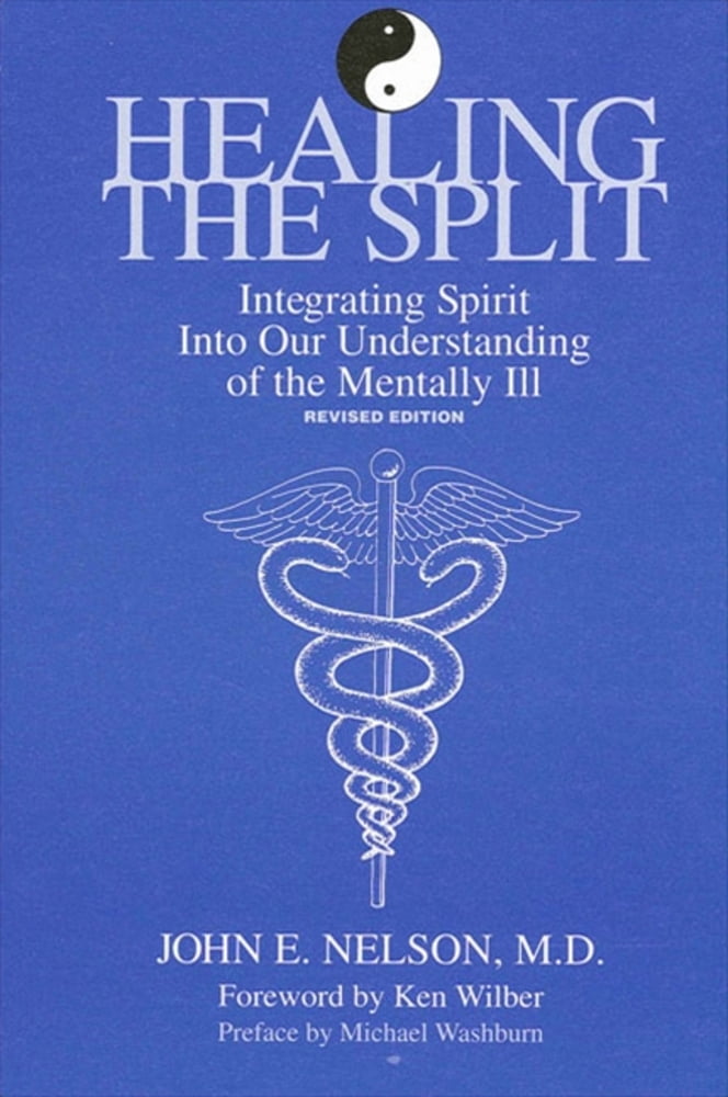 Pre-Owned Healing the Split (Paperback) 079141986X 9780791419861