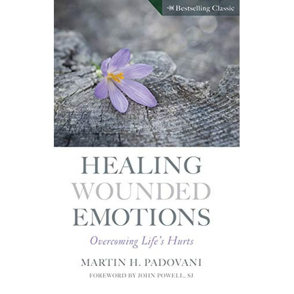 Pre-Owned Healing Wounded Emotions: Overcoming Life's Hurts (Paperback) 0896223337 9780896223332