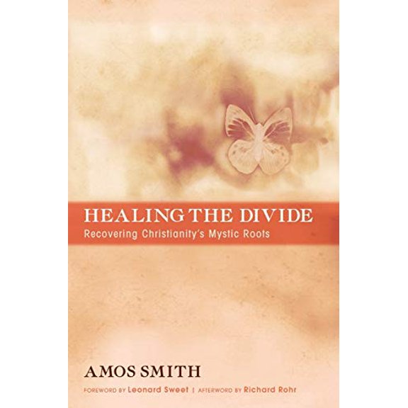 Pre-Owned Healing the Divide (Paperback) 1620323656 9781620323656