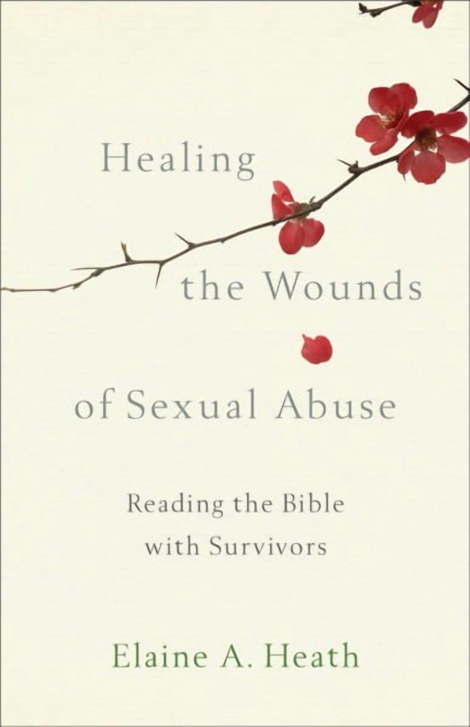 Healing the Wounds of Sexual Abuse: Reading the Bible with Survivors ...