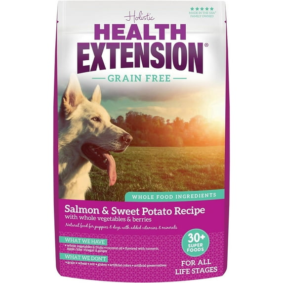 Health Extension Dry Dog Food Salmon & Sweet Potato Recipe Whole Vegetable & Berries(23.5 lb)| All Life Stages | Vitamins & Minerals | Sensitive Stomach