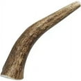 thumbnail image 1 of Health Extension Medium Whole Elk Antlers Long-lasting Bone Chew | Training Treat | Non GMO | Hard Dog Chew | Ideal & Stomach Safe | Healthy Gums, 1 of 2