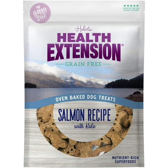 Health Extension Oven-baked Dry Dog Treat Salmon & Kale Recipe (6 Oz) | Nutrient-Rich Superfoods | GMO Free | Perfect for Training | All Life Stages
