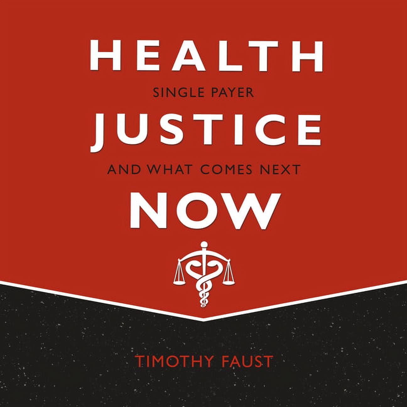 Health Justice Now Single Payer and What Comes Next (Audiobook