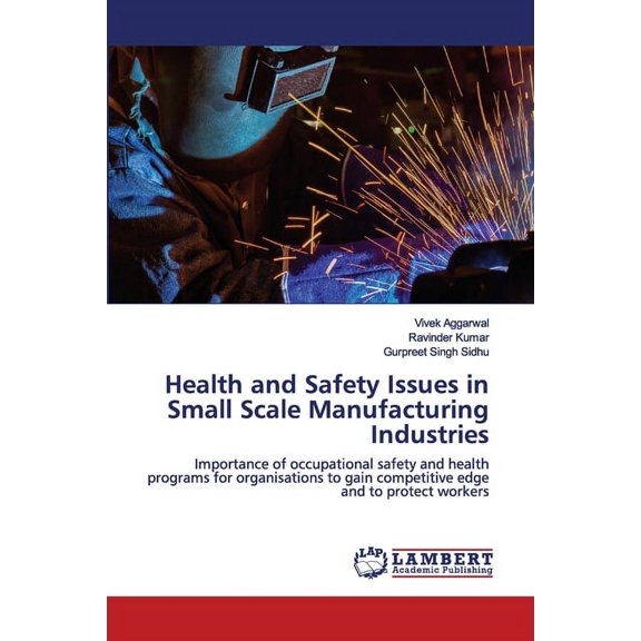 Health and Safety Issues in Small Scale Manufacturing Industries (Paperback)