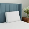 thumbnail image 1 of Bodipedic Essentials Contour Gel-Infused Memory Foam Bed Pillow, 1 of 4