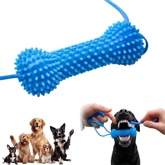 Healthloop Dual-Action Dog Dental Chew Toy, Teeth Cleaning Oral Care for All Sizes