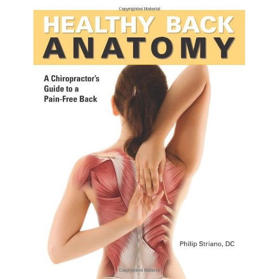 Healthy Back Anatomy: A Chiropractor's Guide To a Pain-Free Back