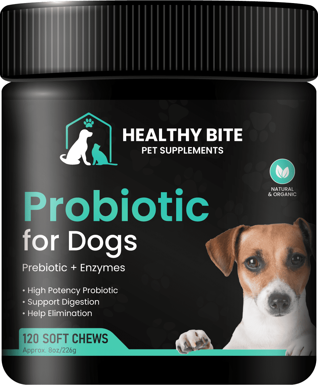Best probiotic for puppy with diarrhea sale