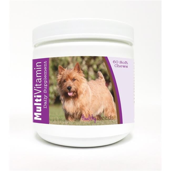 Healthy Breeds 840235111832 Norwich Terrier Multi-Vitamin Soft Chews - 60 Count