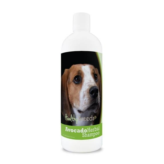 Healthy Breeds 840235157403 American English Coonhound Avocado Herbal Dog Shampoo