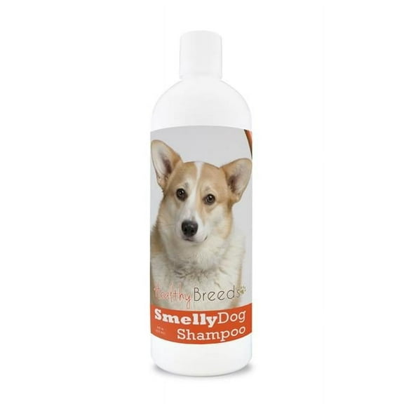 Healthy Breeds 840235160267 Cardigan Welsh Corgi Smelly Dog Baking Soda Shampoo