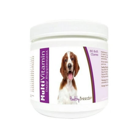 Healthy Breeds 840235177449 Welsh Springer Spaniel Multi-Vitamin Soft Chews - 60 Count