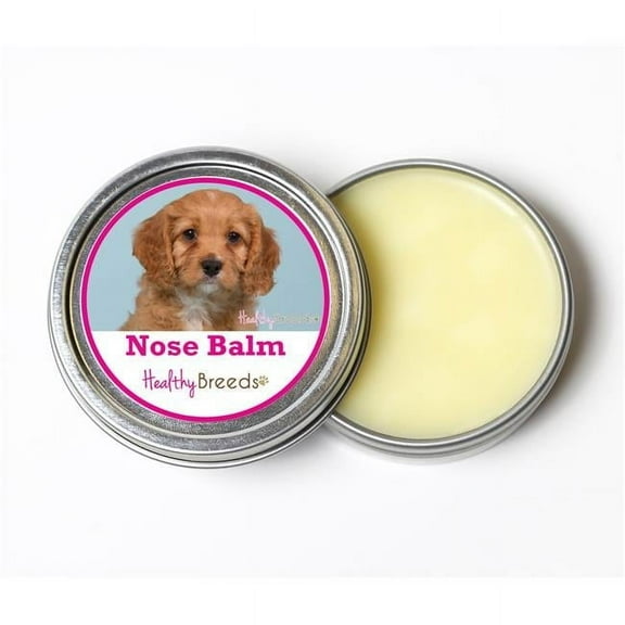 Healthy Breeds 840235191544 2 oz Cavapoo Dog Nose Balm