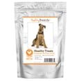 thumbnail image 1 of Healthy Breeds Airedale Terrier Healthy Treats Premium Protein Bites Chicken Dog Treats 10 oz, 1 of 6