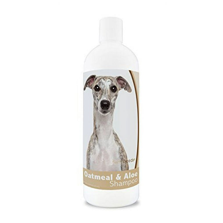 Whippet hypoallergenic 2025