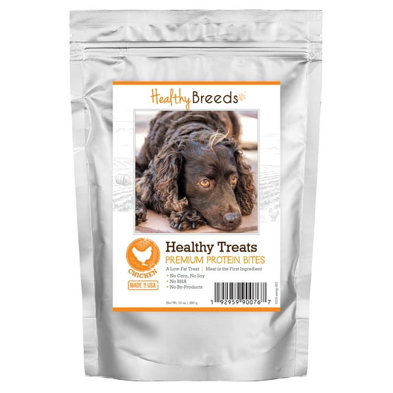 Healthy Breeds American Water Spaniel Healthy Treats Premium Protein Bites Chicken Dog Treats 10 oz
