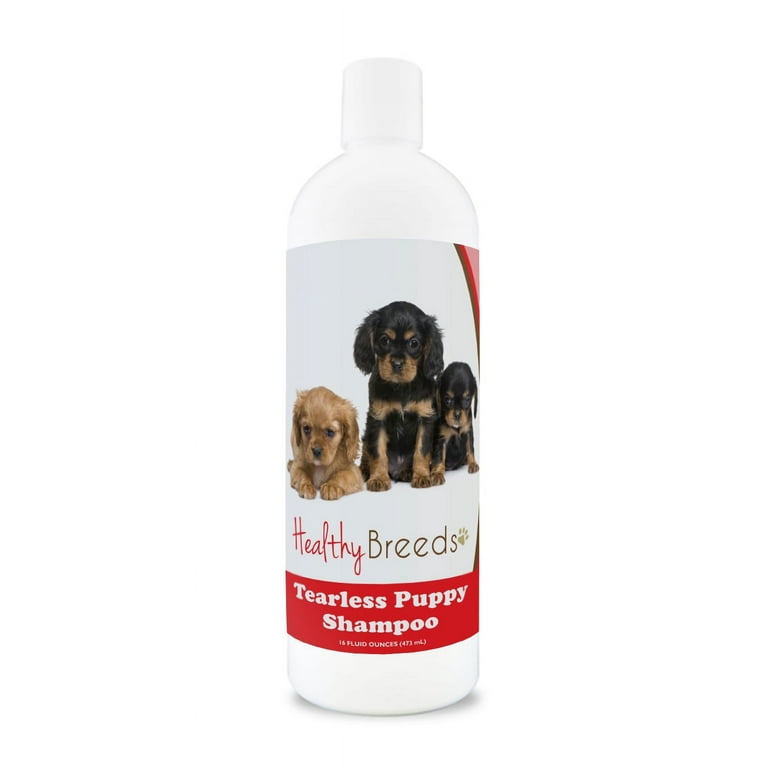 Cavalier shampoo best sale