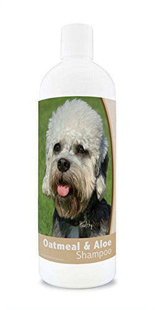 Dandie dinmont terrier best sale hypoallergenic