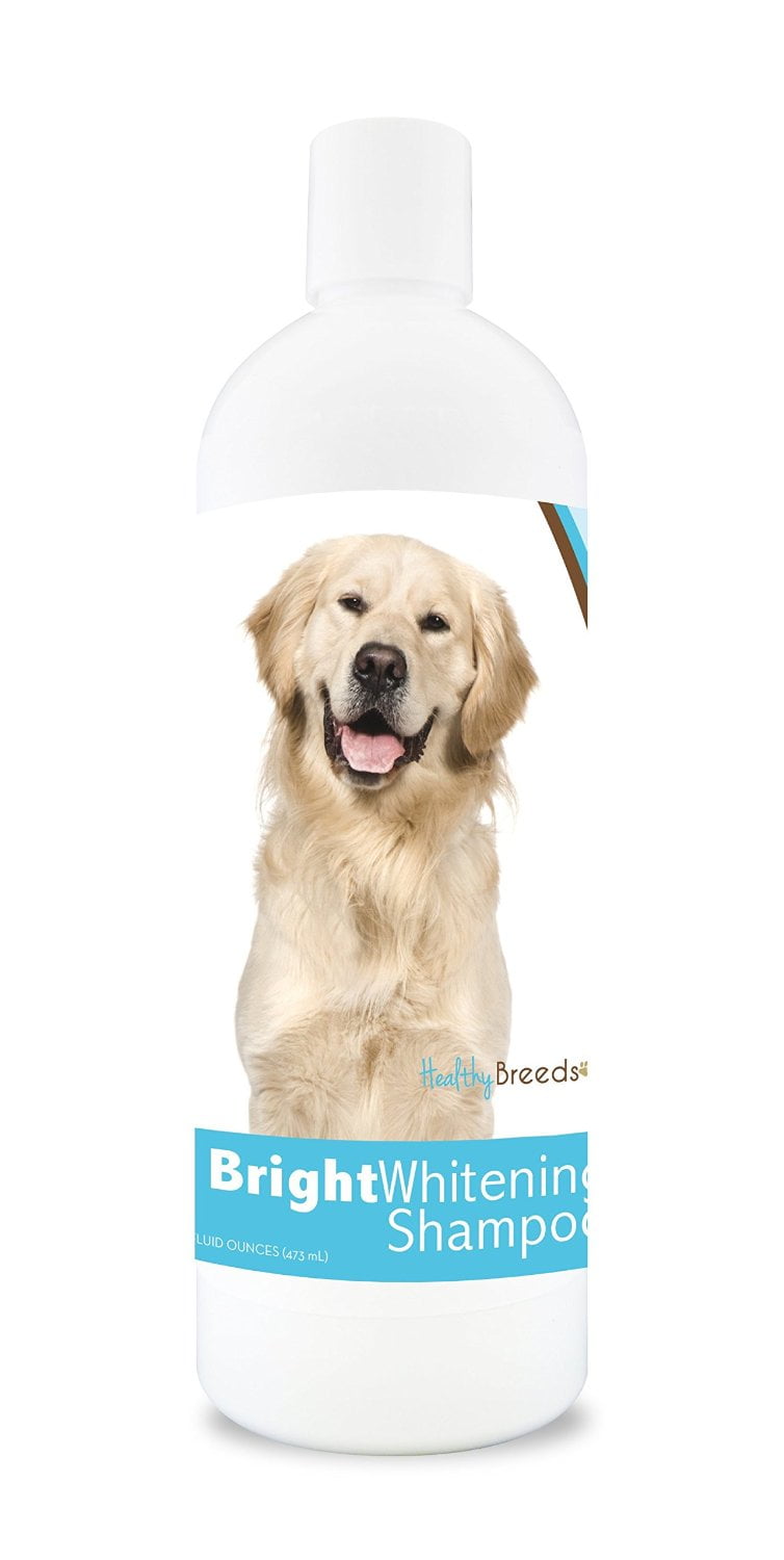 Healthy Breeds Golden Retriever Bright Whitening Dog Shampoo 12 oz