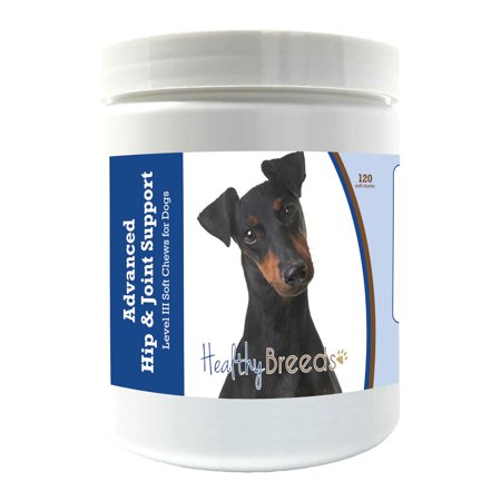 Healthy Breeds Manchester Terrier Advanced Hip & Joint Support Level III Soft Chews for Dogs 120 Count