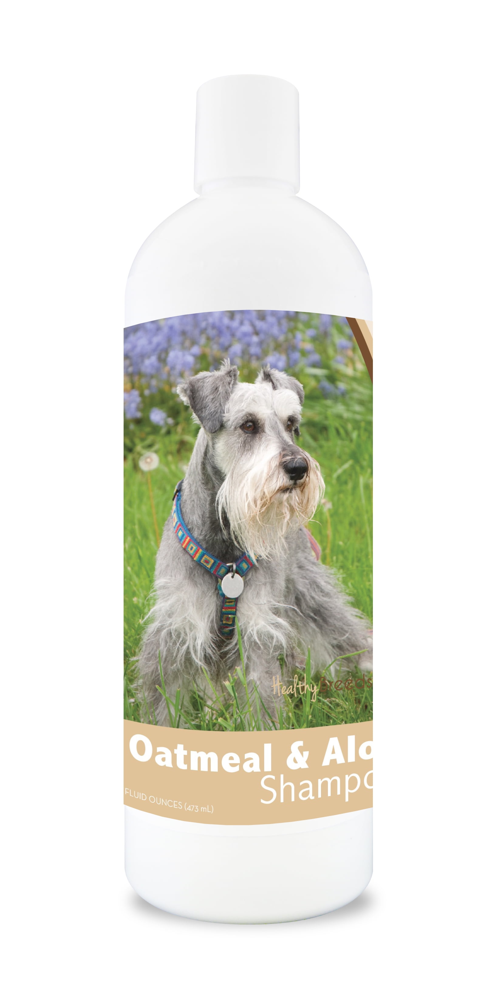 Miniature Schnauzers Schnauzer Food Allergies Pet Supplies Best