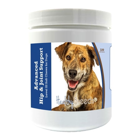 Healthy Breeds Plott Advanced Hip & Joint Support Level III Soft Chews for Dogs 120 Count