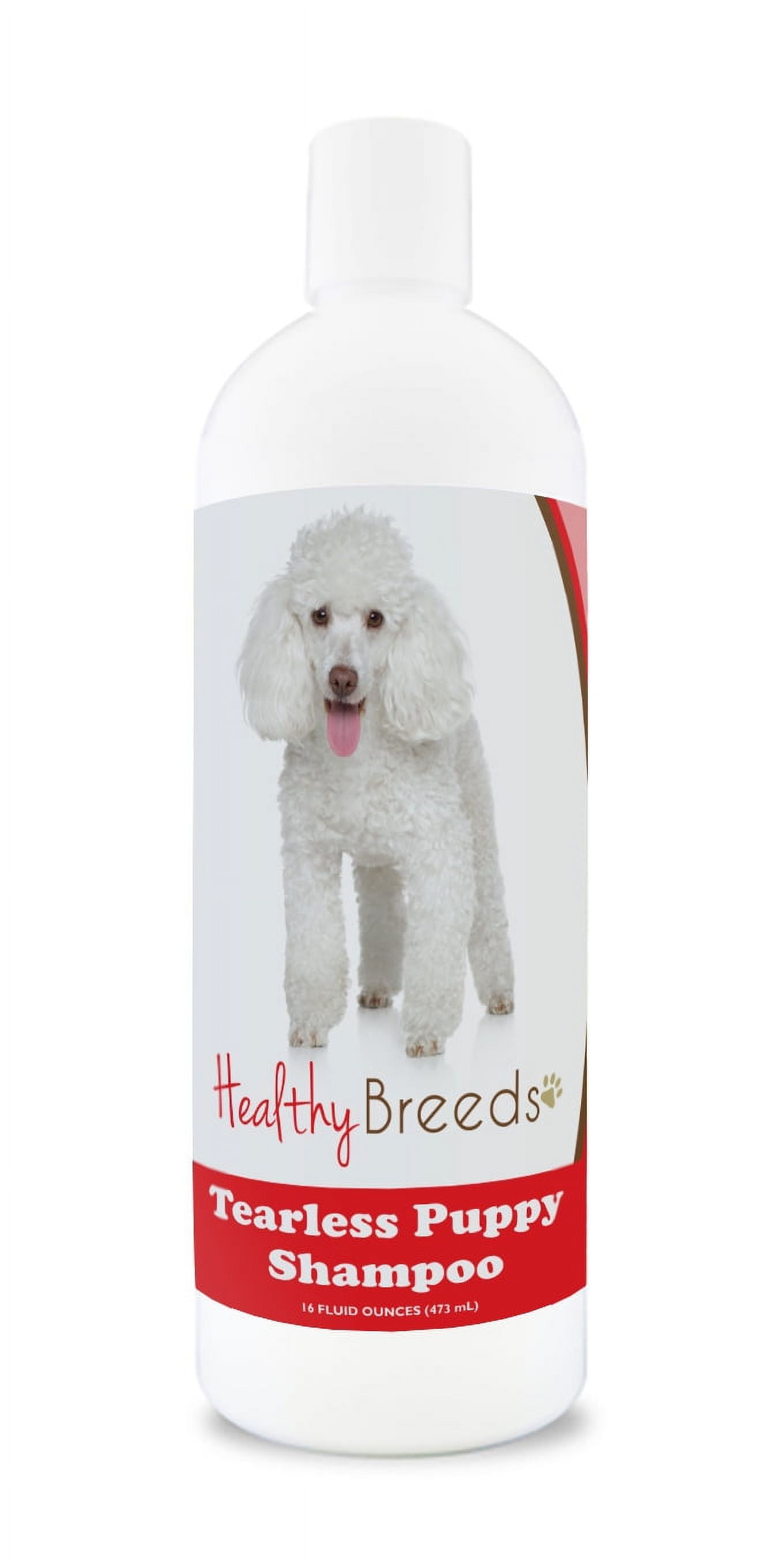 Best shampoo for shop poodles australia