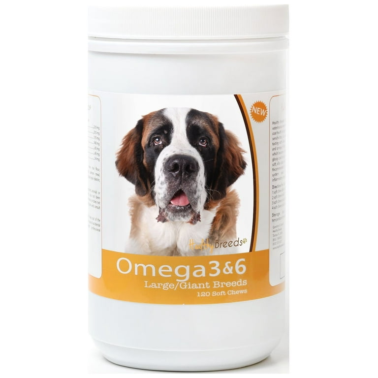 Bernard Health Best Food For St Bernard Puppy Healthy Breeds Saint