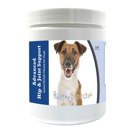Healthy Breeds Smooth Fox Terrier Advanced Hip & Joint Support Level III Soft Chews for Dogs 120 Count