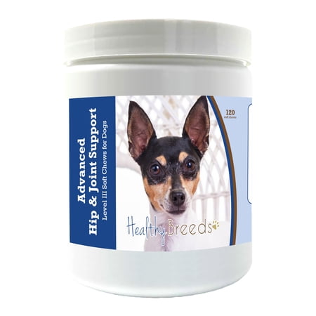 Healthy Breeds Toy Fox Terrier Advanced Hip & Joint Support Level III Soft Chews for Dogs 120 Count