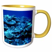 3drose, Healthy Coral Reef, Great Barrier Reef. Queensland, Australia, 11oz Two-tone Yellow Mug