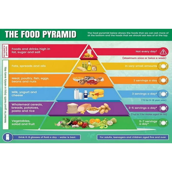 Healthy Food Pyramid Chart | Diet and Nutrition Education Posters for ...