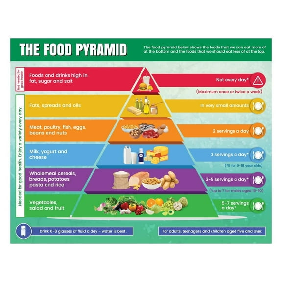 Healthy Food Pyramid Chart | Diet and Nutrition Education Posters for Kids and Childrens